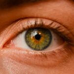 eye, iris, sight, eyebrows, detailed, girl, human, view, green iris, face, eye, eye, eye, eye, eye