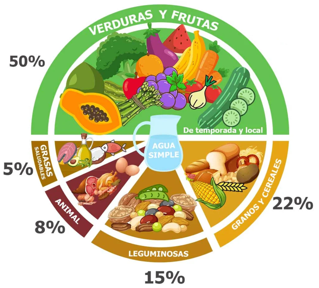 nuevo plato buen comer