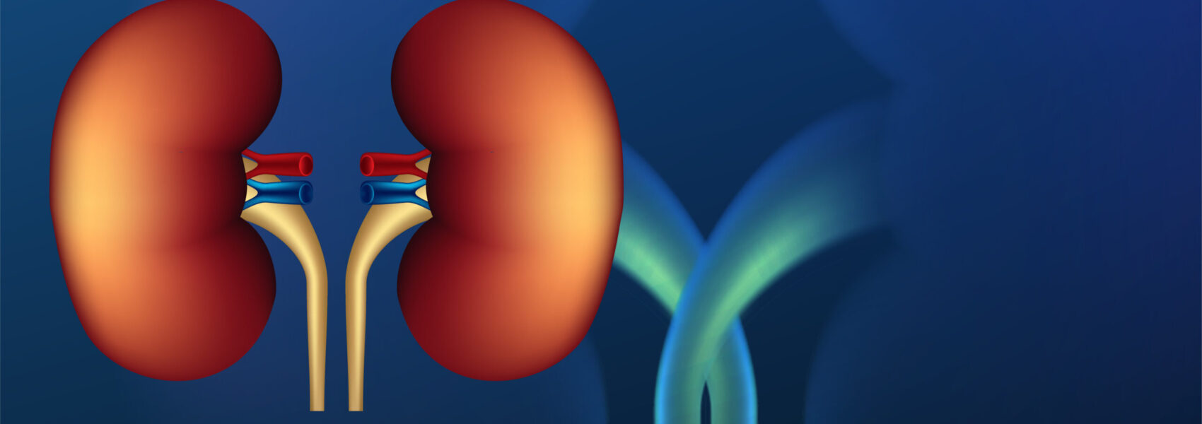 26600895 wwang 040522 47 (1)